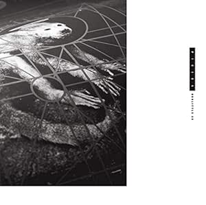 Doolittle 25: B-Sides, Peel Sessions & Demos - Pixies | VinylStation Radio