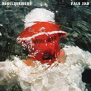 Bewilderment - Pale Jay | VinylStation Radio
