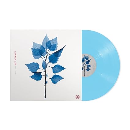 Get Sunk - Vinilo Deluxe - Matt Berninger | VinylStation Radio