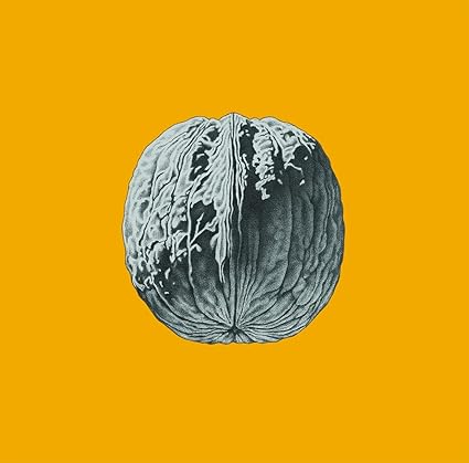 L'Albero Delle Noci - Deluxe - Brunori Sas | VinylStation Radio