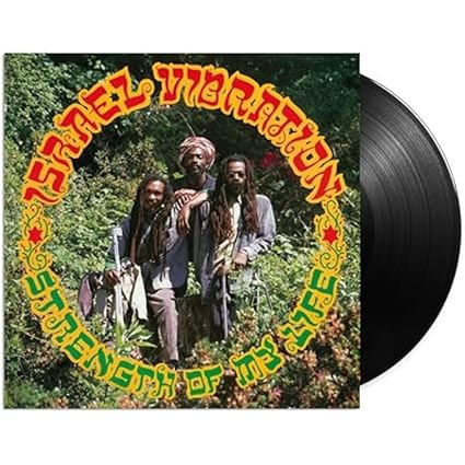 STRENGTH OF MY LIFE - ISRAEL VIBRATION | VinylStation Radio