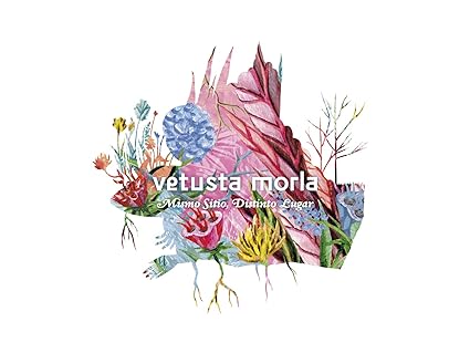 Mismo Sitio, Distinto Lugar - Vetusta Morla | VinylStation Radio