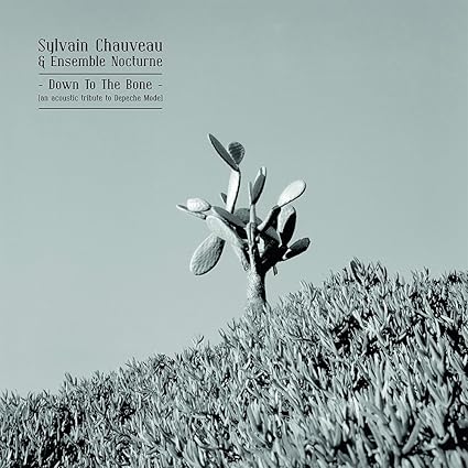 Down to the Bone (Tribute to Depeche Mode) - Chauveau,Sylvain & Ensemble Nocturne | VinylStation Radio