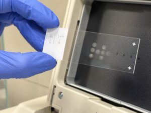 Descubren cómo ver los secretos que ocultan nuestras células