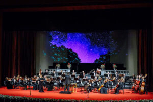 Esto es lo que debes saber antes del 20 de noviembre | VinylStation Radio