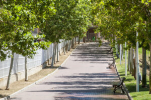 Lo que ocurrió con el arbolado de Santa Teresa tras la última poda | VinylStation Radio