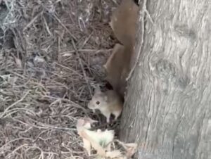 Un problema oculto en el verano que ahora sale a la luz | VinylStation Radio